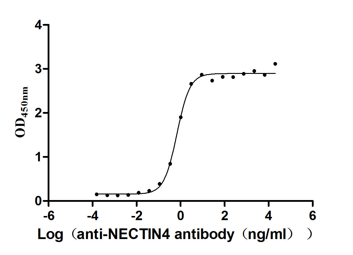 NECTIN4 Monoclonal Antibody