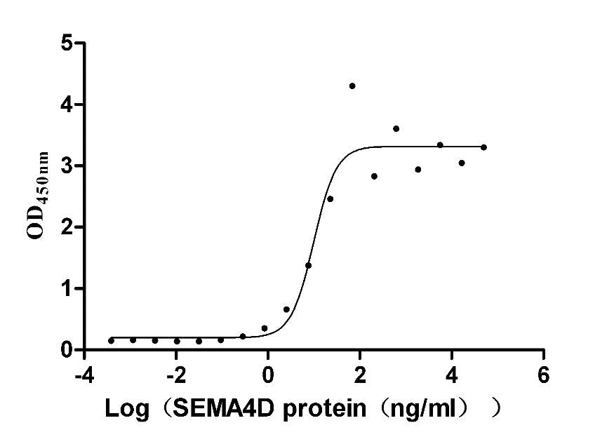 SEMA4D Monoclonal Antibody
