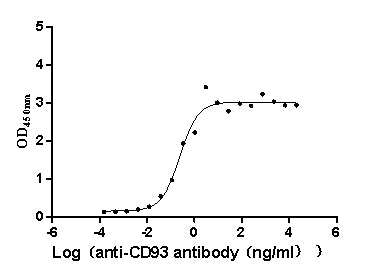 CD93 Recombinant Monoclonal Antibody