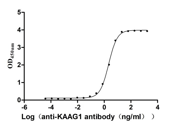 KAAG1 Recombinant Monoclonal Antibody
