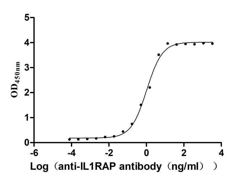 IL1RAP Recombinant Monoclonal Antibody