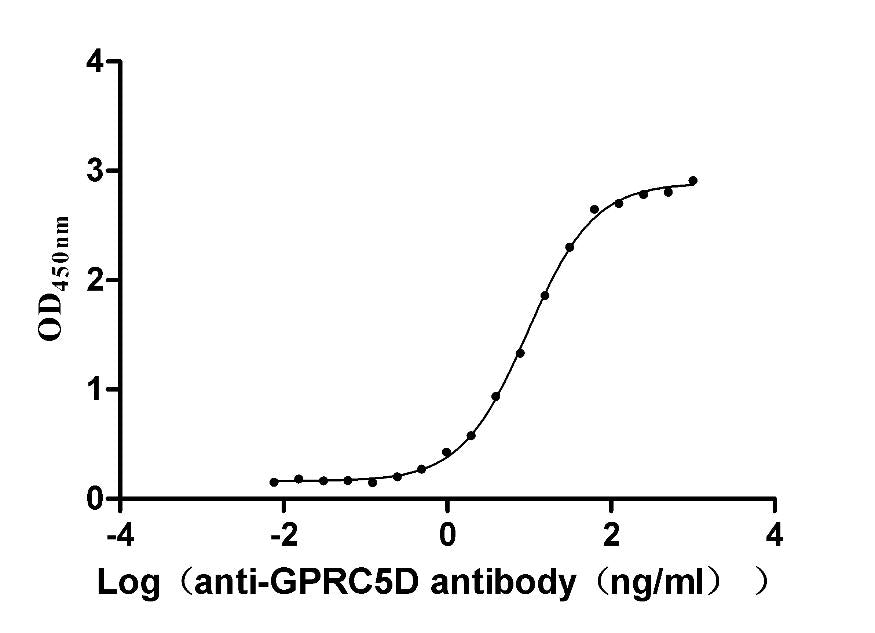 GPRC5D Monoclonal Antibody