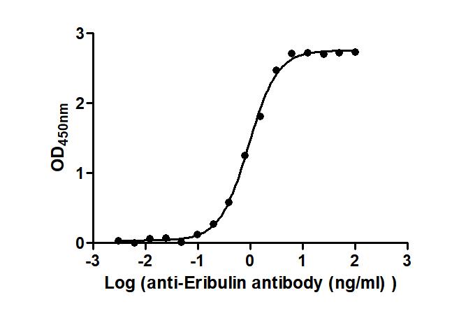 Eribulin Recombinant Monoclonal Antibody