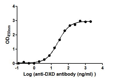 DXD Recombinant Monoclonal Antibody