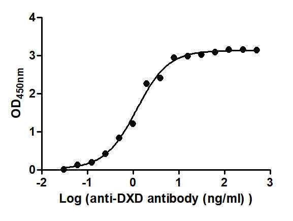 DXD Recombinant Monoclonal Antibody