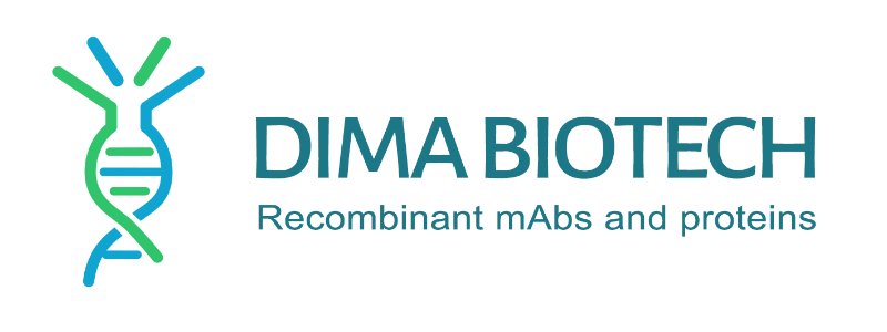 Human APP Protein, His Tag
