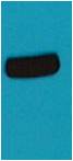 AmCyan-Tag Rabbit pAb