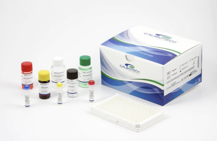 Triiodothyronine (T3) ELISA (Mouse/Rat)
