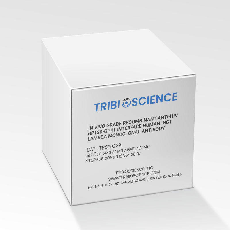 In Vivo Grade Recombinant Anti-HIV gp120-gp41 Interface Human IgG1 Lambda Monoclonal Antibody