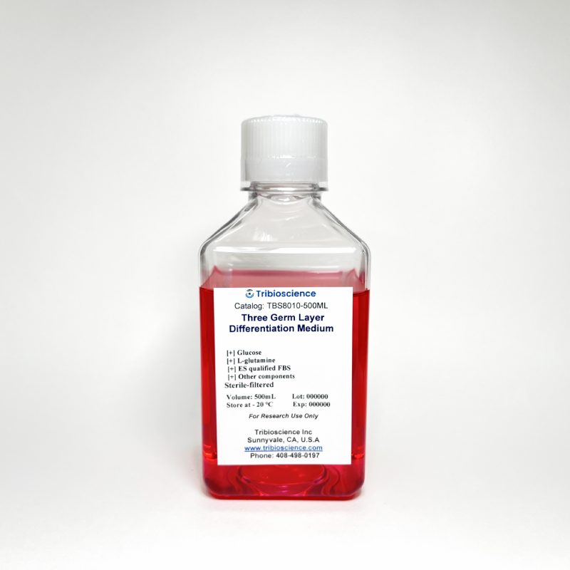 Three Germ Layer Differentiation Medium