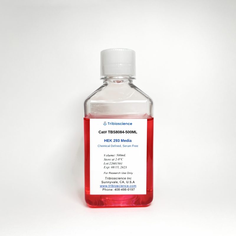 HEK 293 Media, Serum Free