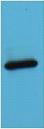 AmCyan Polyclonal Antibody