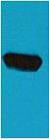 BFP Polyclonal Antibody