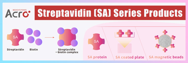 Biotinylated Human CA125 / MUC16 (13810-14451) Protein, Fc,Avitag™