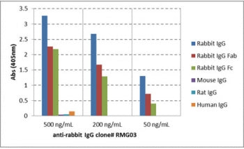 ELISA of IgGs from different species shows recombinant Rabbit IgG antibody reacts to rabbit IgG; no cross reactivity with human IgG, rat IgG, or mouse IgG. The plate was coated with 50 ng/well of different IgG. 500 ng/mL, 200 ng/mL, or 50 ng/mL of RMG03 was used as the primary antibody. An alkaline phosphatase conjugated anti-goat IgG as the secondary antibody.