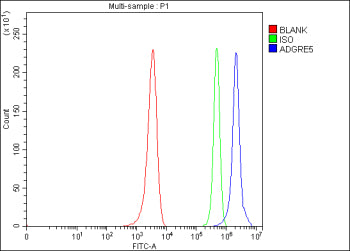Flow Cytometry analysis of U251 cells using anti-ADGRE5 antibody. Overlay histogram showing U251 cel