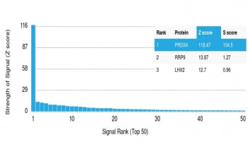 Analysis of HuProt(TM) microarray containing more than 19,000 full-length human proteins using Perox
