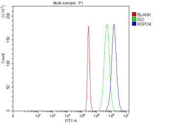 Flow Cytometry analysis of 293T cells using anti-RSPO4 antibody. Overlay histogram showing 293T cell