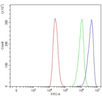 Flow cytometry testing of human ThP-1 cells with EIF4G2 antibody at 1ug/million cells (blocked with