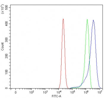 TMEM59 Antibody / Transmembrane protein 59