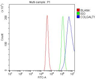 Flow Cytometry analysis of HEL cells using anti-COLGALT1 antibody. Overlay histogram showing HEL cel