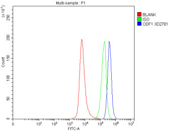 Flow Cytometry analysis of SH-SY5Y cells using anti-ODF1 antibody. Overlay histogram showing SH-SY5Y