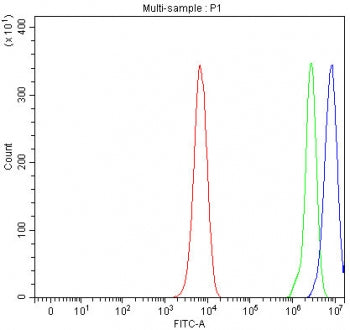 RNase H2 subunit A Antibody / RNASEH2A