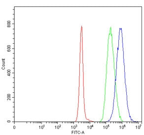 Flow cytometry testing of human Daudi cells with DNAJB1 antibody at 1ug/million cells (blocked with
