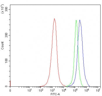 Flow cytometry testing of human Jurkat cells with Endophilin-A3 antibody at 1ug/million cells (block