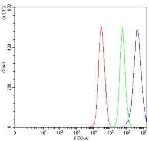 Flow cytometry testing of human 293T cells with Epoxide hydrolase antibody at 1ug/million cells (blo
