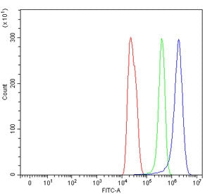 Ccl21 Antibody