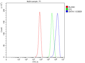 Flow Cytometry analysis of HepG2 cells using anti-SNTA1 antibody. Overlay histogram showing HepG2 ce