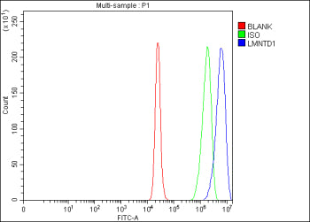 Flow Cytometry analysis of RT4 cells using anti-LMNTD1 antibody. Overlay histogram showing RT4 cells