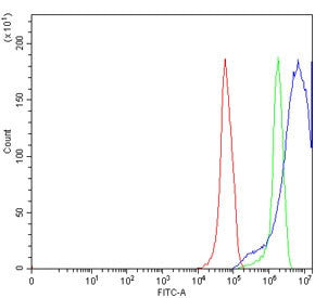 Flow cytometry testing of human RT4 cells with TRPV6 antibody at 1ug/million cells (blocked with goa