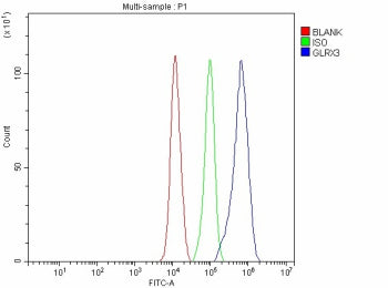Flow Cytometry analysis of JK cells using anti-GLRX3 antibody. Overlay histogram showing JK cells st
