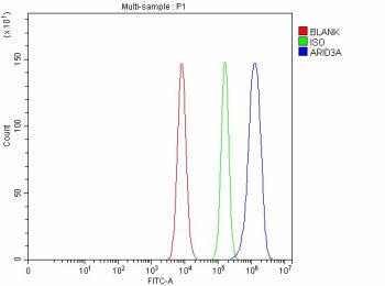 Flow Cytometry analysis of Caco-2 cells using anti-ARID3A antibody. Overlay histogram showing Caco-2