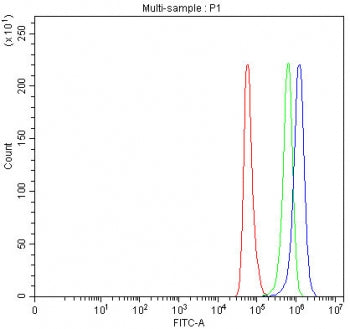 Flow cytometry testing of fixed and permeabilized human HeLa cells with ICAM5 antibody at 1ug/millio