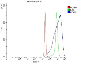 Flow Cytometry analysis of K562 cells using anti-ROR2 antibody. Overlay histogram showing K562 cells