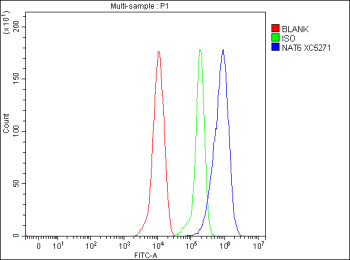 Flow Cytometry analysis of THP-1 cells using anti-NAA80 antibody. Overlay histogram showing THP-1 ce