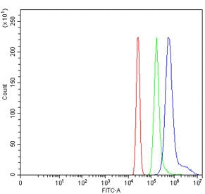 Flow cytometry testing of human HL60 cells with Vaccinia-related kinase 2 antibody at 1ug/million ce