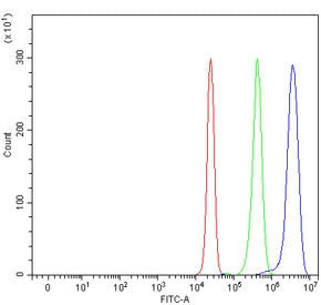 Flow cytometry testing of human HepG2 cells with GRIPAP1 antibody at 1ug/million cells (blocked with