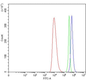 TAAR6 Antibody / Trace amine-associated receptor 6