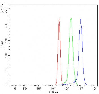 Flow cytometry testing of fixed and permeabilized human HepG2 cells with LCTL antibody at 1ug/millio