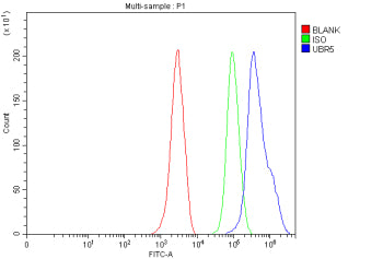 Flow Cytometry analysis of MCF-7 cells using anti-UBR5 antibody. Overlay histogram showing MCF-7 cel