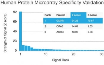 Analysis of HuProt(TM) microarray containing more than 19,000 full-length human proteins using Gemin