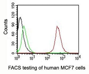 FACS testing of MCF-7 cells with PE conjugated CD63 antibody: Black=cells alone; Green=isotype contr