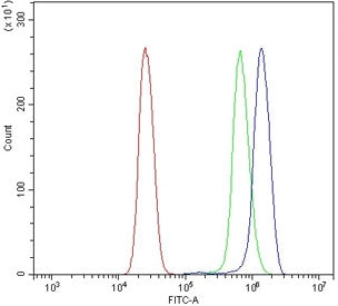 Flow cytometry testing of human U937 cells with DLG4 antibody at 1ug/million cells (blocked with goa