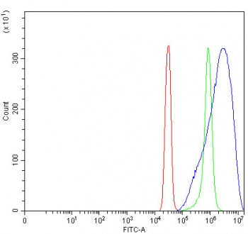 PPP2R5D Antibody