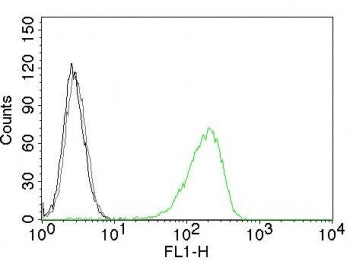 Flow cytometry testing of Jurkat cells. Black: cells alone; Grey: isotype control; Green: CF488-labe