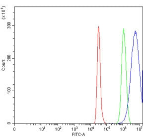 Flow cytometry testing of human Caco-2 cells with AREG antibody at 1ug/million cells (blocked with g